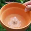 20 Chiếc Chậu Hoa Đáy Lưới Gioăng Cố Định Thiết Kế Cánh Cứng Mạnh Mẽ Cải Thiện Thoát Nước Lưới Hoa Gioăng Đồ Dùng Làm Vườn