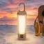 Đèn pin nhỏ LED LACYESUK, Đèn pin bỏ túi Mini có thể sạc lại nhẹ, Chế độ nhiều ánh sáng Đèn Flash cầm tay nhỏ gọn có độ sáng cao Đèn Flash ngoài trời