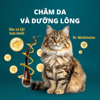 Gói Dùng Thử 50g Bite Of Wild Farm – Tiện Lợi & Giàu Topping Thịt Sấy