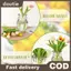 Doutie Xoắn Ốc Ikebana Thân Giá Đỡ Xoắn Ốc Ikebana Thân Cây Cho Bình Hoa Sắp Xếp Xoắn Ốc Thân Giá Đỡ Cho Bình Hoa Flowerhome Decorat VN