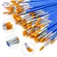 HFTOY 100 / 130 / 160 / 180 / 200 Chiếc Bàn Chải Tranh Bộ Nghệ Thuật Đầu Phẳng Bàn Chải Sơn Tóc Nylon Tròn Cho Acrylic Màu Nước Trẻ Em / Nghệ Sĩ / Người Mới Bắt Đầu / Học Sinh ~