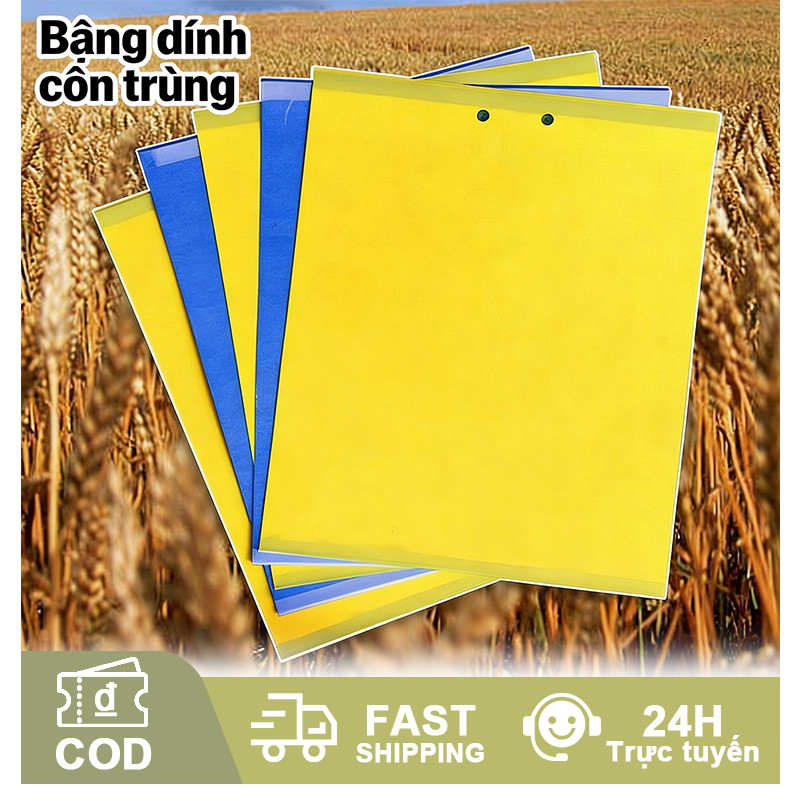 Bẫy ruồi vàng 2 mặt, miếng dán bẫy côn trùng hiệu quả, bảo vệ vườn lan, rau màu, cây ăn trái, tiện lợi