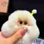 HFTOY Dễ Thương Giả rái Cá Tóc Thỏ Kem Clumsy Mặt Dây Chuyền Chìa Khóa Ô Tô Túi Phụ Kiện Quà Tặng ~