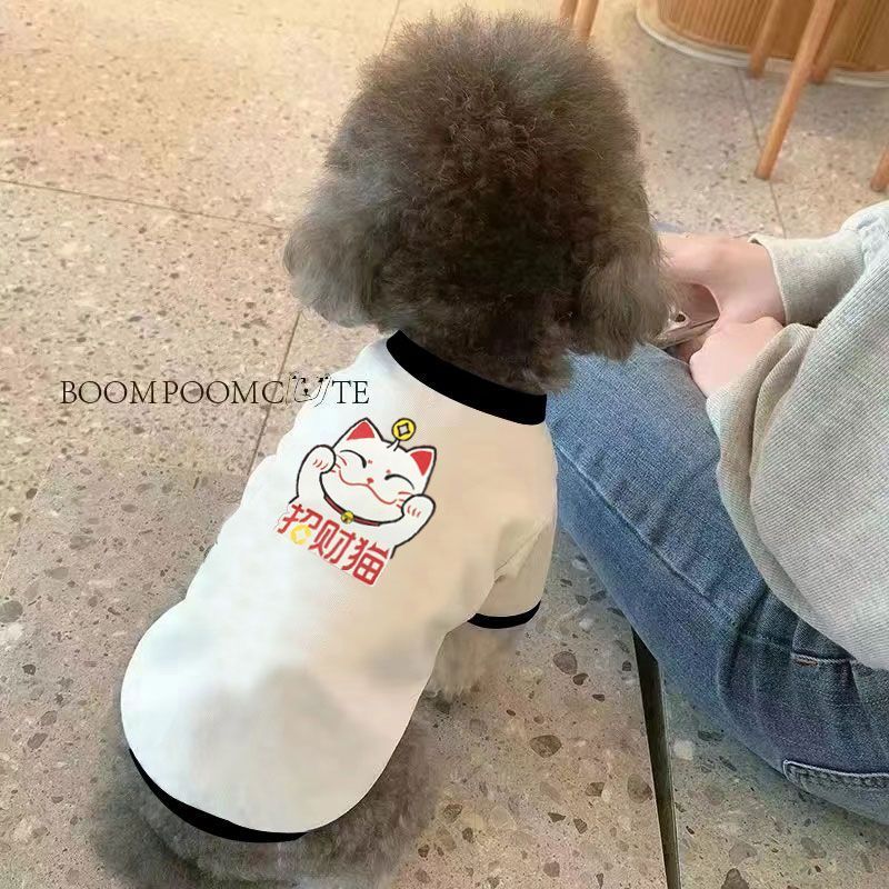 Thú Cưng Chó Mèo Mùa Xuân Mùa Hè Quần Áo Dạo Phố Thú Cưng Hoạt Hình Nhỏ Vừa Quần Áo Cho Chó Mỏng Phong Cách Corgi Teddy Pháp Chiến Đấu