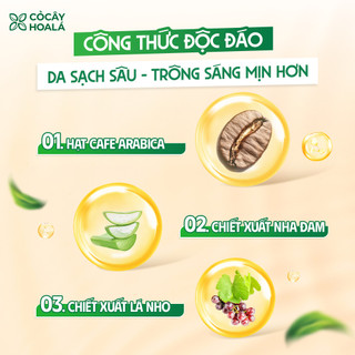 [SẢN PHẨM MỚI] Sữa Tắm Cà Phê Muối 250g Cỏ Cây Hoa Lá | Nhà Mộc Nhiên