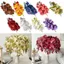 TOPTOOLCX Nhân Tạo Phalaenopsis Hoa, Bướm Phong Lan Đơn Nhánh Mô Phỏng Hoa Lan, Cảm Ứng Thật Lâu Dài PVC Trang Trí Hoa Tiệc Cưới Trang Trí Nhà Cửa