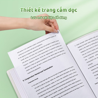 Tệp đựng tài liệu A4 chất lượng, họa tiết gấu trúc dễ thương, trong suốt, lý tưởng cho học sinh, chứa 30/40/60 lá