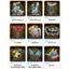 TAKARA TOMY Pokémon Moncolle Series (ML-01 ～ ML-31) Figures Collection Pocket Monsters