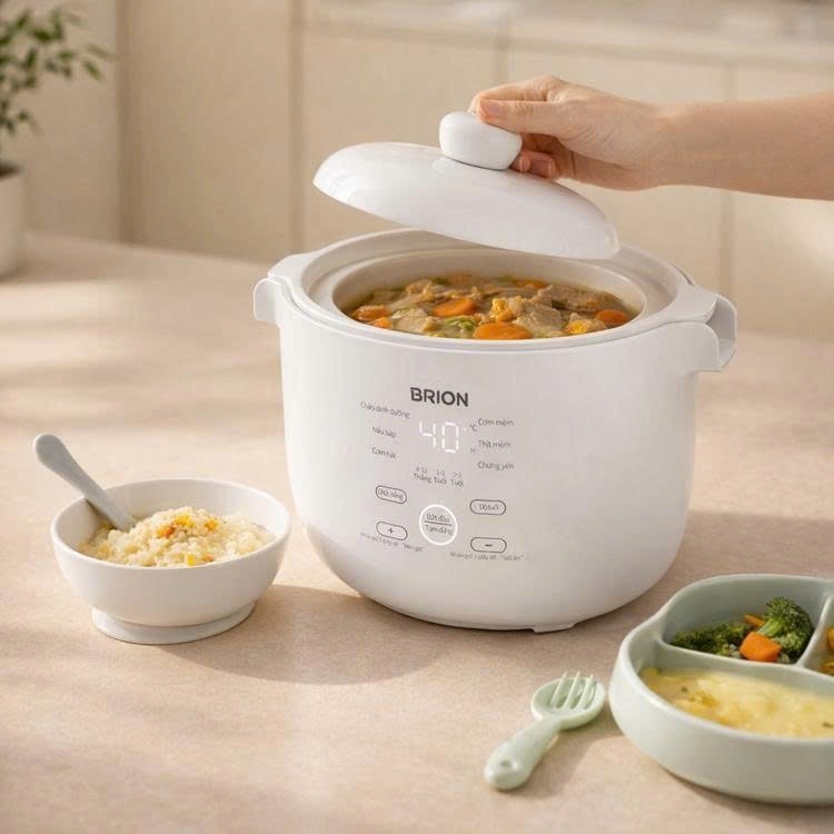 Nồi Nấu Chậm Đa Năng BRION Hàng Chính Hãng Bảo Hành 24 Tháng Chưng Yến, Hầm Cháo Ăn Dặm Và Thức Ăn