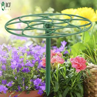 Khung leo cây làm vườn Khung leo cây có thể điều chỉnh Giá đỡ leo núi Trellis Thích hợp cho giá trồng cây