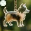 PUSKY Clear Puppy Hair Memorial Keepsake Capsule Pet 's Dog Fur Container DIY Mặt dây chuyền Móc khóa Trang trí Pet Lovers Home Display Quà tặng VN