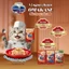 Pate Cho Mèo Silver Spoon gói 60g thức ăn ướt cho mèo dạng sốt /dạng thạch