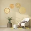 Khay dệt bằng rơm ROLY Trang trí tường, Giá treo tường bằng rơm chống trượt Boho, Giỏ tròn chịu nhiệt Macrame dân tộc Bàn ăn lót ly dệt