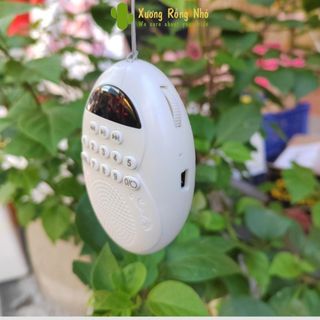 Loa giọt nước bé học list bài hát Anh Việt thiết kế nhỏ Loa Tắm Ngôn Ngữ ,Tắm Ngôn Ngữ,Đeo Cổ / Nhỏ Gọn