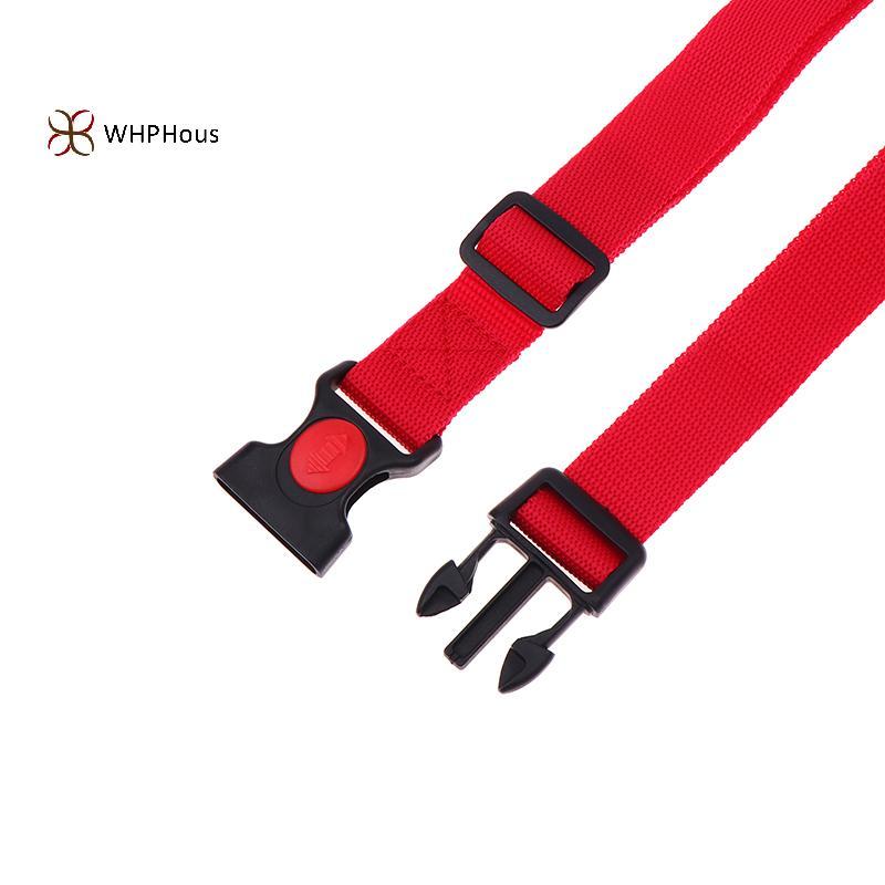 Đai tập bơi tĩnh điện - dây phao webbing đẹp, tiện lợi