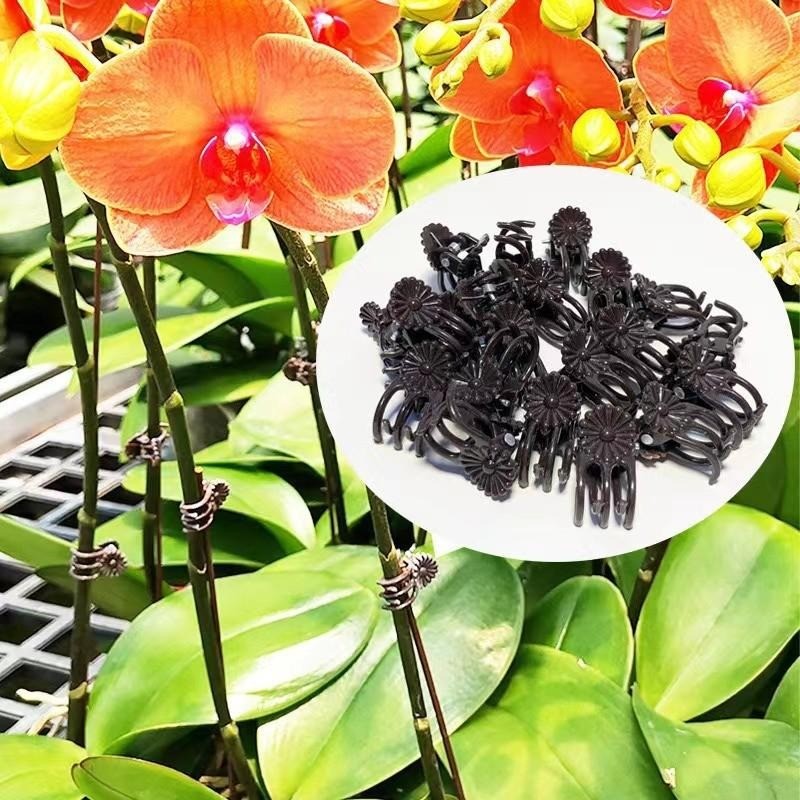 Kẹp ghép dây leo bằng nhựa đa năng- Kẹp trồng cây trong chậu phong lan- 50 / 100 Cái Kẹp cố định nhánh cây trong vườn