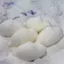 HFTOY Squishy Con dấu dễ thương Bóp Đồ chơi giảm căng thẳng Đồ chơi Mochi mềm Hoạt hình Phục hồi chậm Đồ chơi thần tài đàn áp cho trẻ em Quà tặng ~