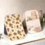 Bánh quy đáy nâu Gương trang điểm gấp gọn khung nhựa dày dặn chống trầy