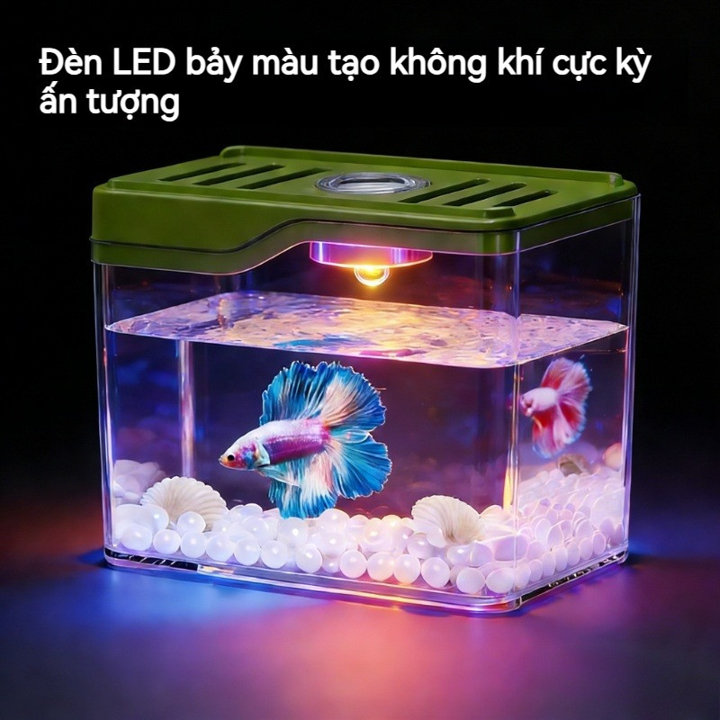 Bể cá mini để bàn cao cấp,Kèm đèn LED,bể Cá Mini Văn Phòng đẹp,Trang Trí Văn Phòng Và Phòng Khác,Dễ vệ sinh