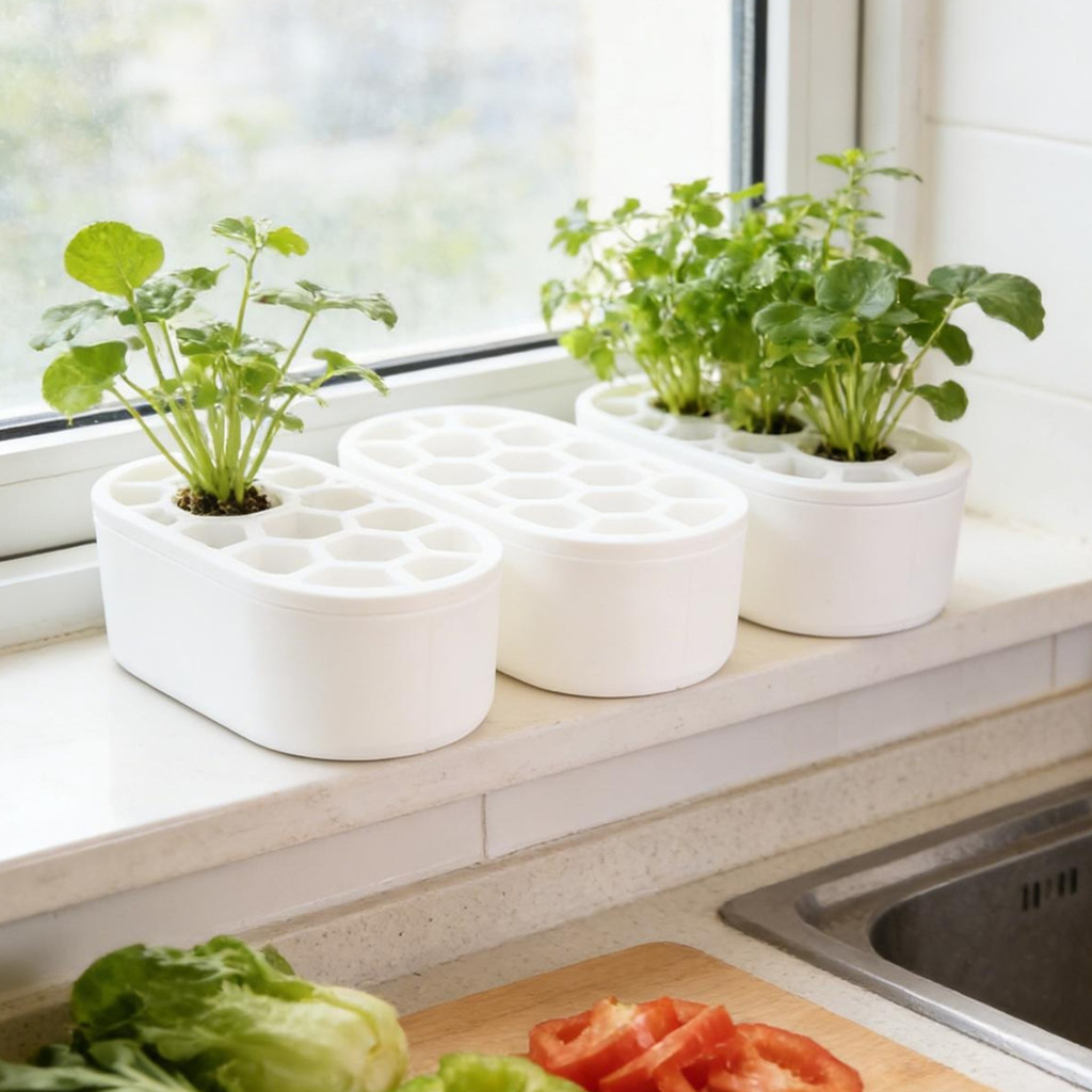 Chậu trồng cây nhà bếp cầm tay Tái tạo trồng cây-Tốt tỏi thủy canh không đất Rau củ