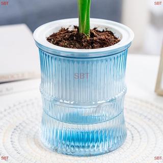 [SB] Chậu hoa thủy canh lười biếng Chậu hoa hấp thụ nước tự động trong suốt hai lớp nhựa tự tưới nước văn phòng MỚI