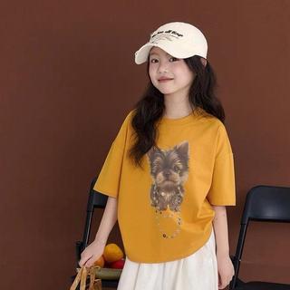 A19-M-[tomnaukids] Áo thun cộc tay cho bé gái  cho bé gái size từ 9-80Kg
