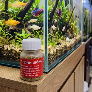 Hộp Thức Ăn Mini 30GR Cho Cá Cảnh - Cám Thánh Gióng Đạm Cao Viên Nổi Siêu Nhỏ