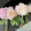 Bó hoa Mẫu Đơn giả cao cấp 25cm - Hoa lụa decor bàn ăn, trang trí phòng ngủ & Làm hoa cầm tay cô dâu (3 Bông 3 Nụ)