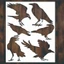 Exhila Nghệ Thuật Ravens Thiết Kế PET Stencil Thuật Ngữ Dài Sử Dụng Trong Các Dự Án Ravens Stenci Dành Cho Nghệ Sĩ Giáo Viên Và Thủ Công Lo