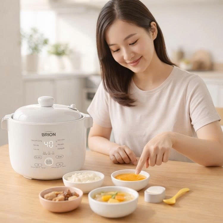 Nồi Nấu Chậm Đa Năng BRION Hàng Chính Hãng Bảo Hành 24 Tháng Chưng Yến, Hầm Cháo Ăn Dặm Và Thức Ăn