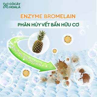 Nước Giặt Đồ Lót Trà Xanh 350g | Làm Sạch, Khử Mùi, Hỗ Trợ Ngăn Vi Khuẩn | Nhà Mộc Nhiên
