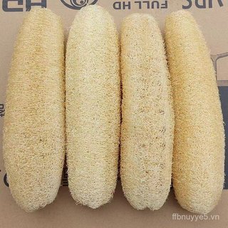 Bàn chải rửa chén/rửa nồi/tắm tự nhiên Loofah, dụng cụ làm sạch nhà bếp gia đình DZK2
