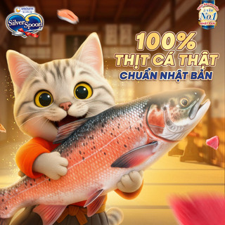 Pate Cho Mèo Silver Spoon thức ăn ướt cho mèo dạng sốt/dạng thạch gói 60g - Luco Paw