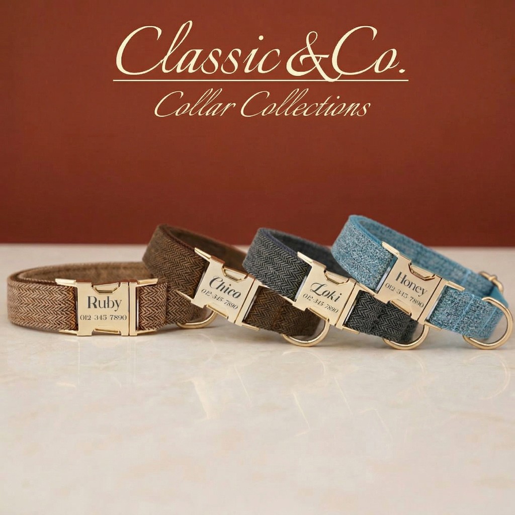Vòng cổ thú cưng tùy chỉnh tên, Tweed Farbric, thẻ khắc tên, bộ cổ và dây xích kèm thẻ miễn phí