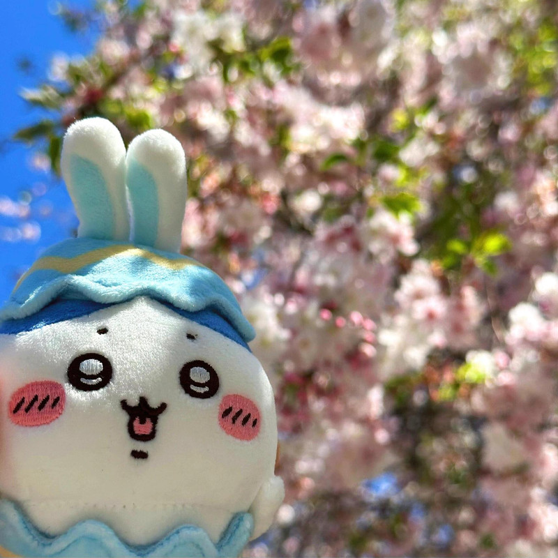 Móc khóa búp bê Chiikawa dễ thương, treo túi xách làm quà tặng mini xinh xắn, Chiikawa Hachiware Usagi