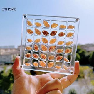 ZTHOME Acrylic Từ Seashell Hộp Trưng Bày Seashell Rõ Ràng Sao Biển Trượng Tổ Chức 36 / 64 / 100 Lưới Mini Seashell Hộp Bảo Quản HOT