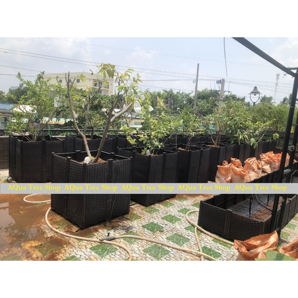 Chậu nhựa lắp ghép thành luống 200x40cm cao 40cm trồng rau, trồng cây sạch, chậu nhựa ghép CG512