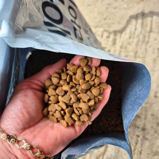 Thức Ăn Hạt CareCat 1kg Cho Mèo Mọi Lứa Tuổi - Đạm Cao 30%, Phục Hồi Lông & Tiêu Búi Lông Cho Mèo
