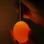 Máy kiểm tra nến trứng CATMALLER88, Đèn phát hiện trứng LED ánh sáng lạnh bằng thép không gỉ, di động có đèn pin Máy ấp trứng cho tất cả gà vịt đen Trứng yến