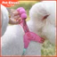 26 Dây Xích Chó Yên Xe Phong Cách Chống Cháy Nổ Okinawa Ngực Lưng Teddy Bichon Corgi Nhỏ Vừa Chó Đa Năng Ngực Thú Cưng