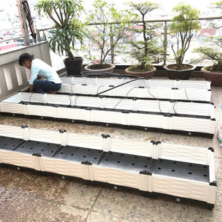 Chậu ghép thông minh HDPE/PP 300x50x23 Cm: Thẩm mỹ, kết cấu chắc, dễ lắp đặt, phù hợp mọi cây trồng.