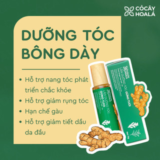 Lăn Dưỡng Tóc Thảo Mộc 15g | Giảm Rụng Tóc, Kích Thích Mọc Tóc, Tóc Dày Khỏe | Nhà Mộc Nhiên