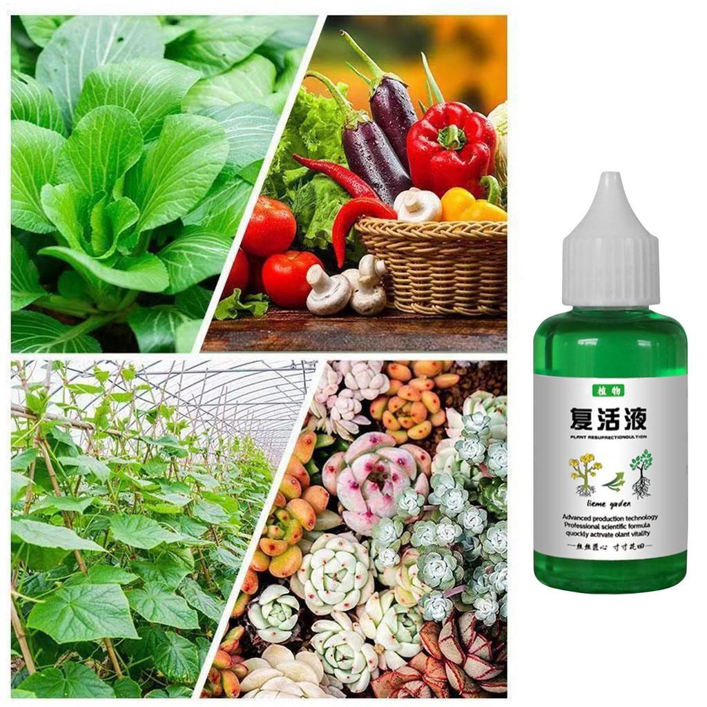 Chất lỏng phục hồi thực vật 50ml Chất lỏng dinh dưỡng thực vật Thúc đẩy sức khỏe & tăng trưởng mạnh mẽ mueadsyvn