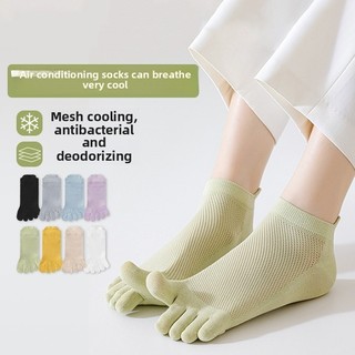 Tất Cotton Mỏng Cho Phụ Nữ và Cô Gái - Thoáng Khí và Thoải Mại Mùa Hè