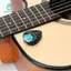 10x Celluloid có giá đỡ cho đàn guitar điện Đàn guitar Acoustic và Bass
