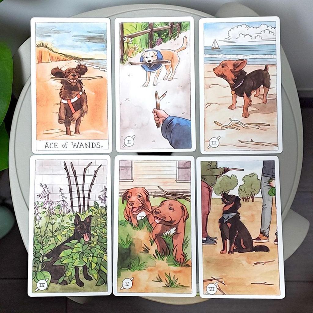 Bộ bài Tarot cho chó trong hộp cứng 78 chiếc Thẻ lấy cảm hứng từ người bạn đồng hành khôn ngoan in trên Cardstock hai nổi