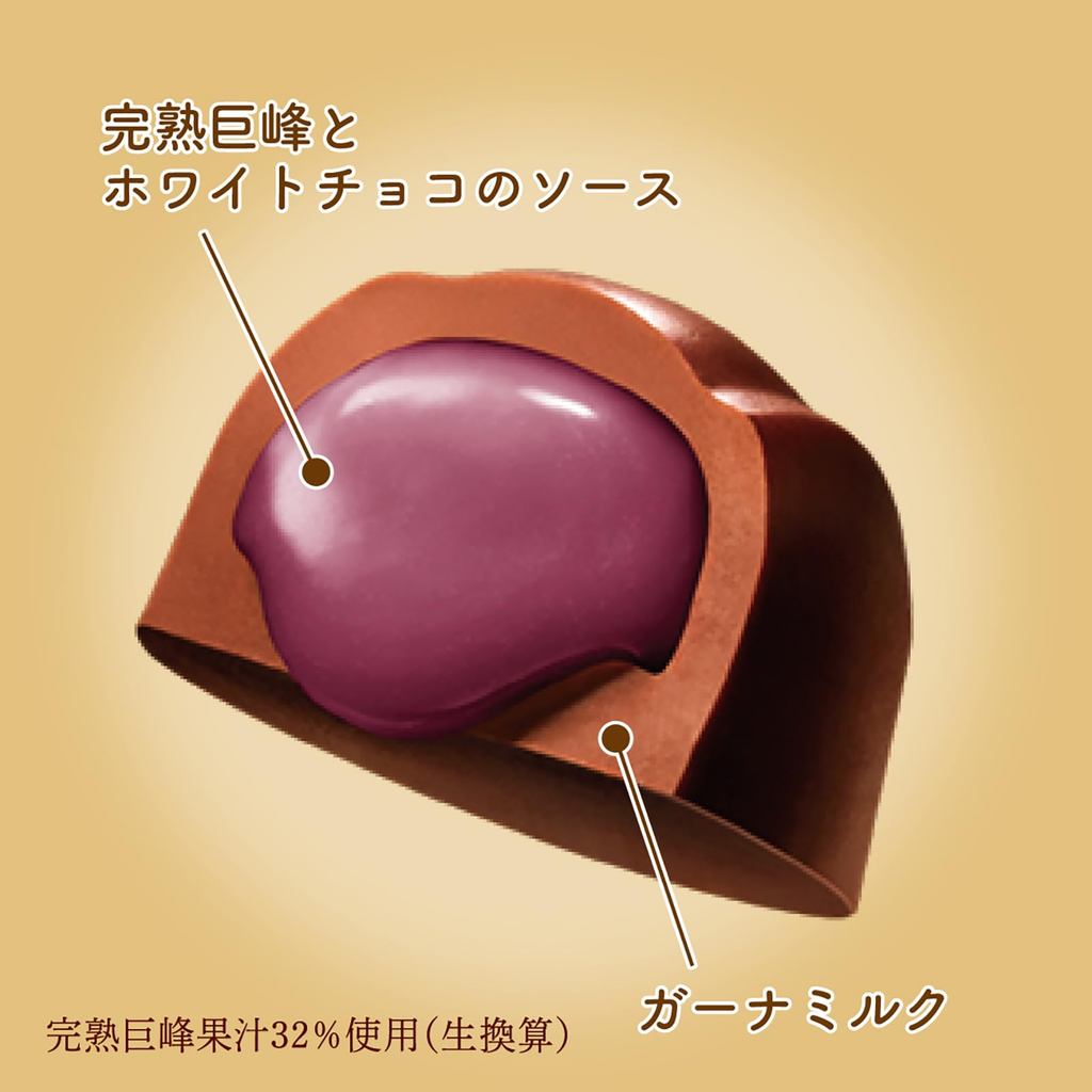 Lotte Premium Ghana Fruit Chocolate (Ripe Kyoho Grape) [Direct from Japan]