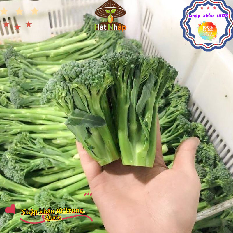 (Bao bì gốc 300 viên nang)Hạt giống súp lơ baby chịu nhiệt (giòn ngọt, giàu dinh dưỡng, năng suất cao)-k011