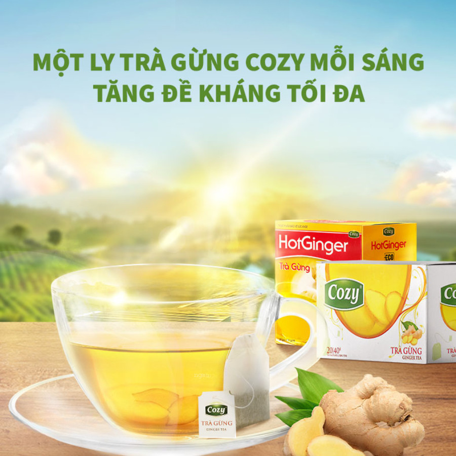 Trà Cozy Hương Gừng Hộp 40g Thơm Ngon Đậm Vị Trà Gừng, Dễ Pha Dễ Uống