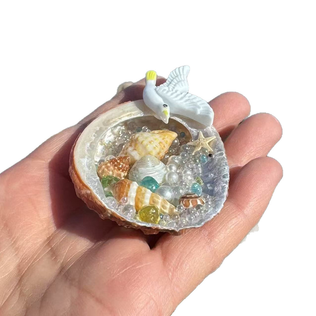 Vỏ ốc xà cừ Nhãn dán tủ lạnh Tính năng lưu niệm diy Handmade Vỏ bào ngư Nhãn dán tủ lạnh